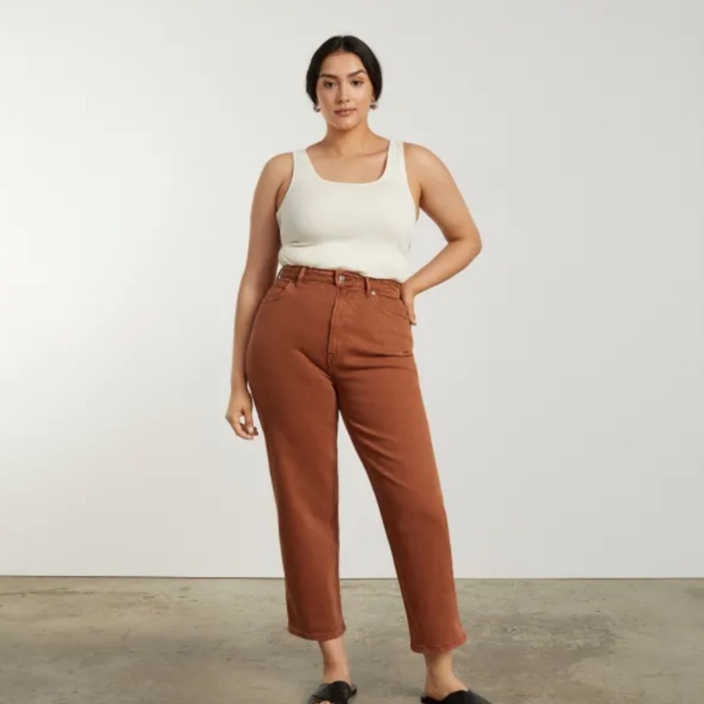 NWT Everlane The Curvy Way-High Jean